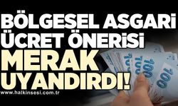 Bölgesel asgari ücret önerisi merak uyandırdı!