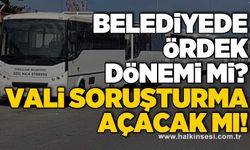 Belediyede ÖRDEK dönemi mi? VALİ SORUŞTURMA AÇACAK MI!