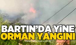 Bartın’da yine orman yangını