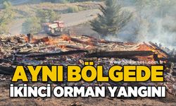 Aynı bölgede ikinci orman yangını: 5 samanlık küle döndü