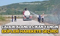 Çaycuma'da çalılık alanda yangın çıktı