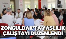 Zonguldak’ta Yaşlılık Çalıştayı düzenlendi