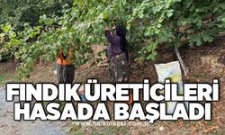 Fındık üreticileri hasada başladı