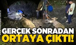 Gerçek sonradan ortaya çıktı!
