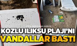 Kozlu Ilıksu Plajı’nı vandallar bastı