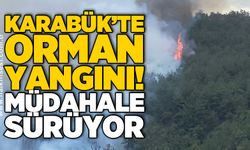 Karabük’te orman yangını! Müdahale sürüyor