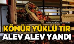 Mangal kömürü yüklü tır alev alev yandı