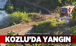Kozlu'da yangın