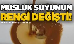 Musluk suyunun rengi değişti