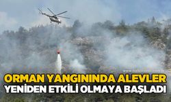 Orman yangınında alevler yeniden etkili olmaya başladı