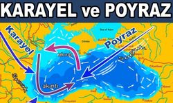 POYRAZ DENİZ SUYUNU NEDEN SOĞUTUR?
