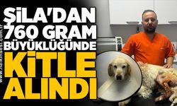 Şila'dan 760 gram büyüklüğünde kitle alındı