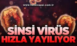Sinsi virüs hızla yayılıyor!