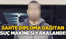 Sahte diploma dağıtan sanık suç makinesi çıktı: Tam 44 kaydı var