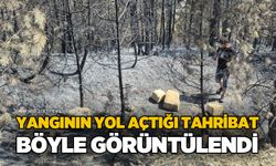 Yangının yol açtığı tahribat böyle görüntülendi