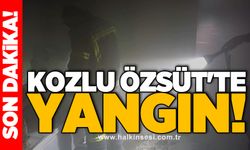 Kozlu Özsüt'te yangın!