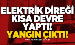 Elektrik direği kısa devre yaptı! Yangın çıktı!