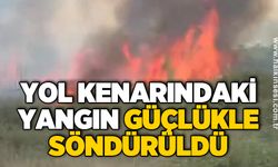Yol kenarındaki yangın güçlükle söndürüldü