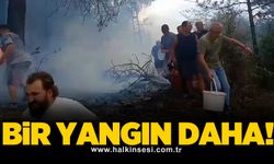 Bir yangın daha!
