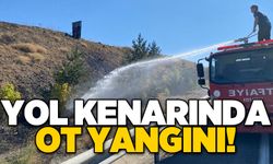 Yol kenarında ot yangını!