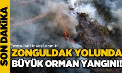 Zonguldak yolunda büyük orman yangını!