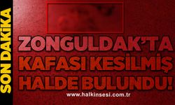 Zonguldak'ta kafası kesilmiş halde bulundu!