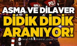 Asma ve Dilaver'de polis ekipleri göz açtırmıyor!