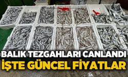 Zonguldak'ta balık tezgahları doldu: İşte fiyatlar