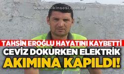 Tahsin Eroğlu ceviz dokurken elektrik akımına kapılarak hayatını kaybetti