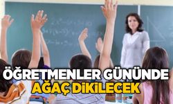 Öğretmenler gününde ağaç dikilecek