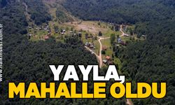 YAYLA, MAHALLE OLDU