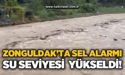 Zonguldak'ta sel alarmı: Su seviyesi yükseldi!