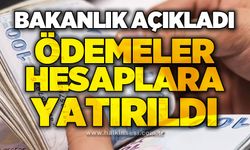 Bakanlık açıkladı: Ödemeler hesaplara yatırıldı