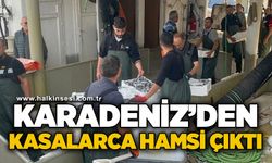Karadeniz'den kasalarca hamsi çıktı