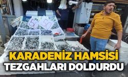 Karadeniz hamsisi tezgahları doldurdu: Kilosu 50 lira