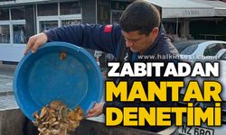 Zabıtadan mantar denetimi