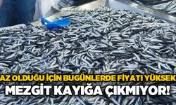 Az olduğu için bugünlerde fiyatı biraz yüksek: Mezgit kayığa çıkmıyor