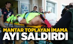 Mantar toplayan imama ayı saldırdı