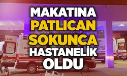 Makatına patlıcan sokunca hastanelik oldu