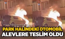 Park halindeki otomobil alevlere teslim oldu