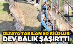 Oltaya takılan 50 kiloluk dev balık şaşırttı