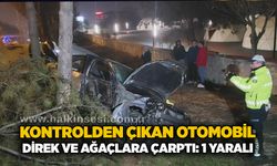 Kontrolden çıkan otomobil, direk ve ağaçlara çarptı: 1 yaralı