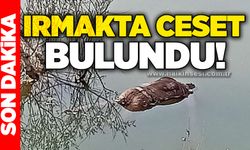 Irmakta ceset  bulundu!