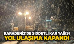 Karadeniz'de şiddetli kar yağışı: Yol ulaşıma kapandı!