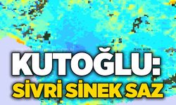 Kutoğlu: Sivri sinek saz