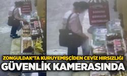Zonguldak'ta kuruyemişçiden ceviz hırsızlığı güvenlik kamerasında