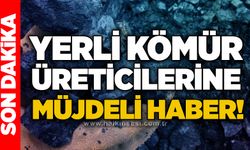 Yerli kömür üreticilerine müjdeli haber!