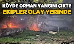 Köyde orman yangını: Ekipler olay yerinde