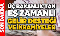 Üç Bakanlık'tan eş zamanlı gelir desteği ve ikramiyeler