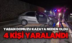 Yola çıkan yaban hayvanı kazaya neden oldu: 4 yaralı
